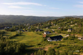 Cozy apartment near ski attractions Geilo